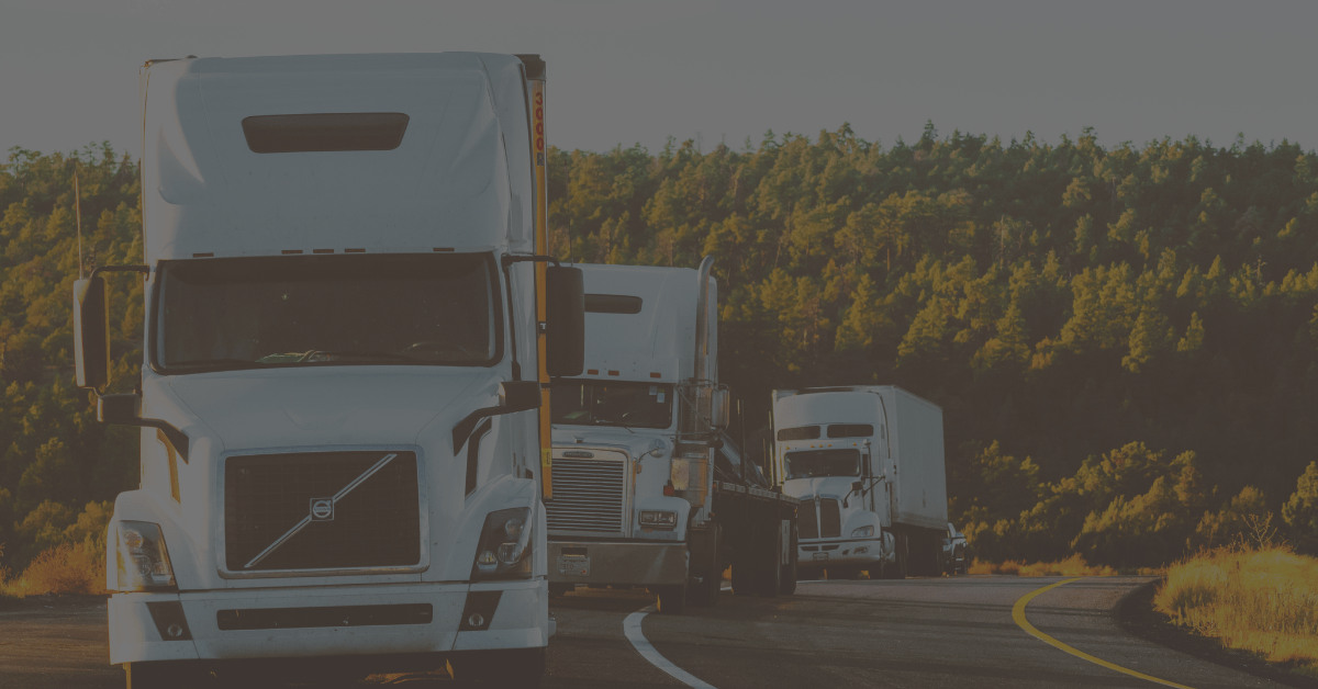 LTL offers sustainable "ride-sharing" approach to shipping